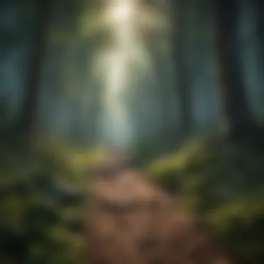 Escape to the Enchanted Forest Enchanted Forest Escape