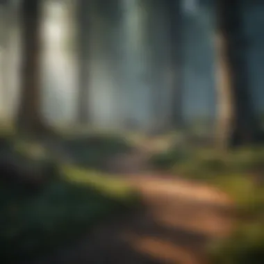 Whimsical Forest Prop Hunt Enchanted Forest Scene Illustration