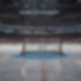 Virtual Hockey Arena