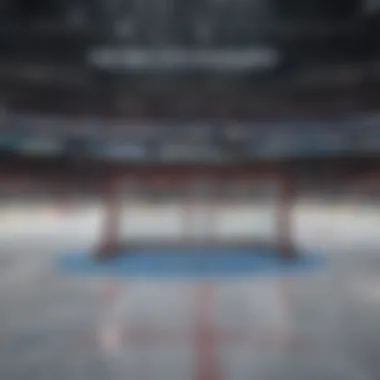 Virtual Hockey Arena