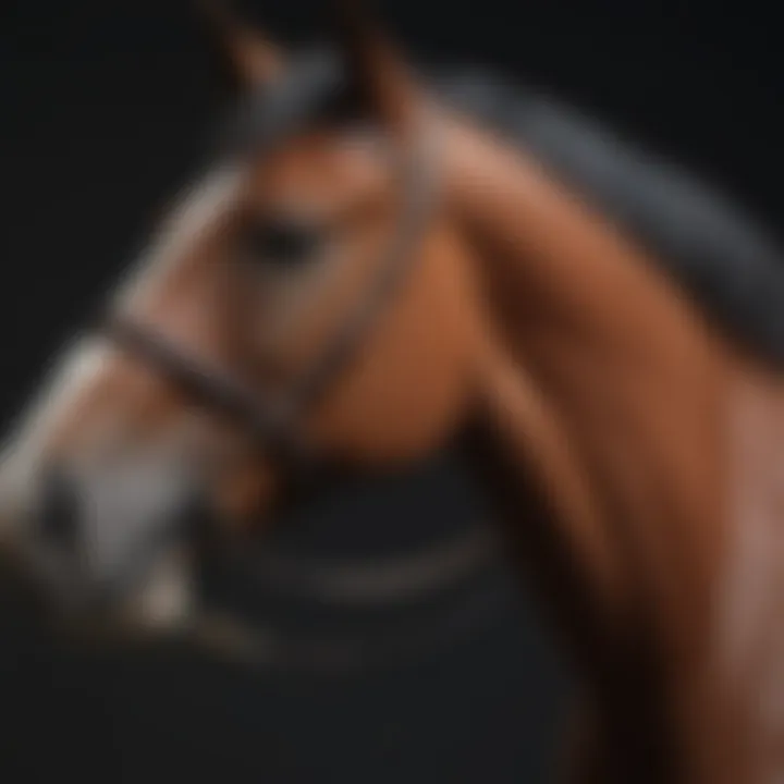 Detailed close-up of grooming tools for virtual horses