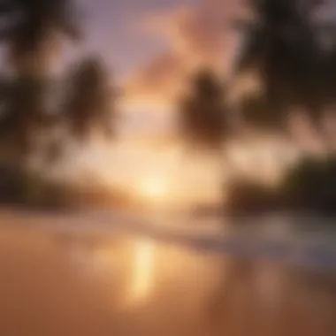 Sunset over a tranquil beach with palm trees swaying