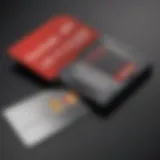 Visual Representation of SanDisk Switch Card Features