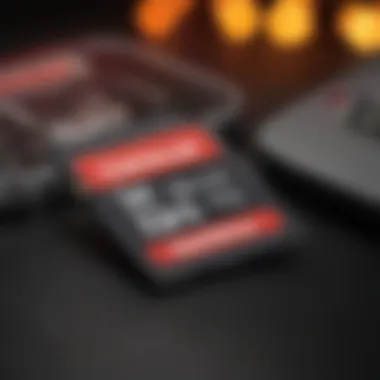 Efficient Content Organization Digital Content Organization with SanDisk Micro SD Card