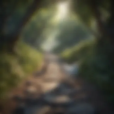 Mystical Pathway Mystical Pathway to Free Pets