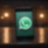 Illustration of iPhone screen with WhatsApp logo